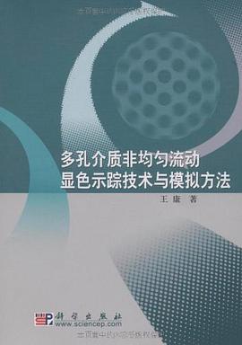 多孔介质非均匀流动显色示踪技术与模拟方法 pdf epub mobi 电子书 下载