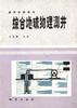 综合地球物理测井 pdf epub mobi 电子书 下载