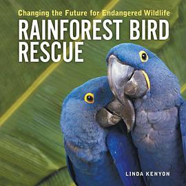 Rainforest Bird Rescue pdf epub mobi 下载