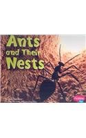 Ants and Their Nests pdf epub mobi 电子书 下载