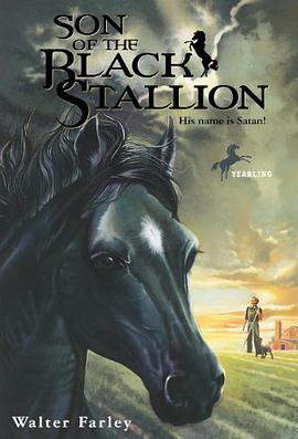 Son of the Black Stallion pdf epub mobi 电子书 下载