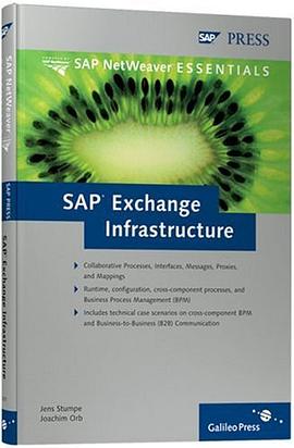 SAP Exchange Infrastructure