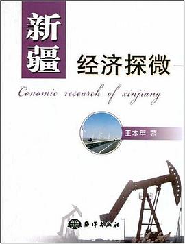 新疆经济探微 pdf epub mobi 电子书 下载