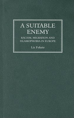 A Suitable Enemy pdf epub mobi 电子书 下载