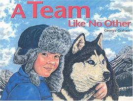A Team Like No Other pdf epub mobi 电子书 下载