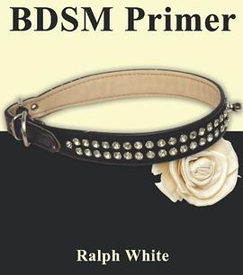 BDSM Primer pdf epub mobi 电子书 下载