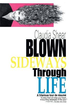 Blown Sideways Through Life pdf epub mobi 电子书 下载