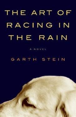 Art of Racing in the Rain pdf epub mobi 電子書 下載