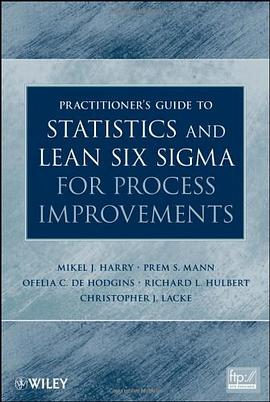 Practitioner's Guide to Statistics and Lean Six Sigma for Process Improvements pdf epub mobi 电子书 下载