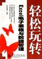 轻松玩转Excel电子表格与数据管理 pdf epub mobi 电子书 下载