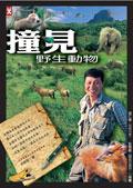 撞見野生動物 pdf epub mobi 电子书 下载