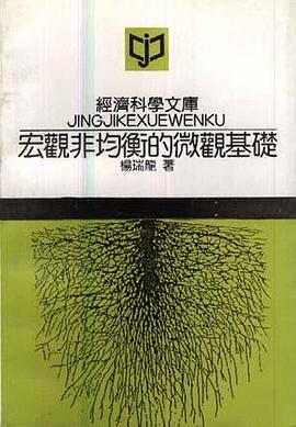 宏观非均衡的微观基楚 pdf epub mobi 电子书 下载