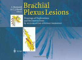 Brachial Plexus Lesions pdf epub mobi 電子書 下載