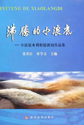 沸腾的小浪底 pdf epub mobi 电子书 下载