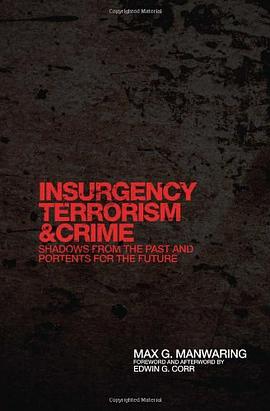 Insurgency, Terrorism, and Crime pdf epub mobi 電子書 下載