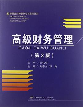 高级财务管理 pdf epub mobi 电子书 下载
