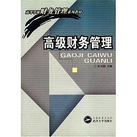 高级财务管理 pdf epub mobi 电子书 下载