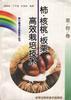 (果樹捲)柿.核桃.闆栗高效栽培技術 pdf epub mobi 電子書 下載