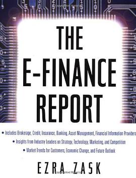 The E-finance Report pdf epub mobi 电子书 下载