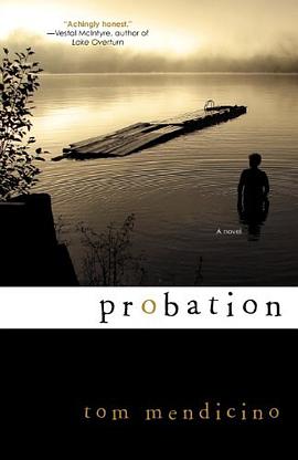 Probation pdf epub mobi 电子书 下载