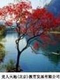 初中英语精批作文 pdf epub mobi 电子书 下载
