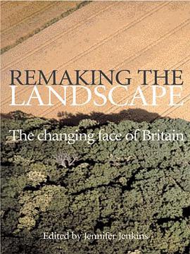 Remaking the Landscape pdf epub mobi 電子書 下載