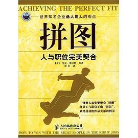拼图 pdf epub mobi 电子书 下载