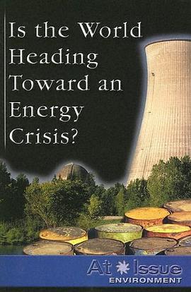 Is the World Heading Toward an Energy Crisis? pdf epub mobi 下载
