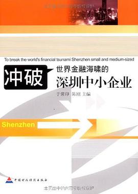 冲破世界金融海啸的深圳中小企业 pdf epub mobi 电子书 下载