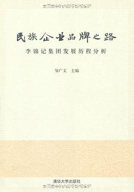 民族企业品牌之路 pdf epub mobi 电子书 下载