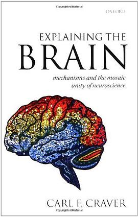 Explaining the Brain pdf epub mobi 电子书 下载