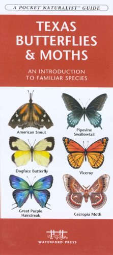 Texas Butterflies & Moths pdf epub mobi 電子書 下載