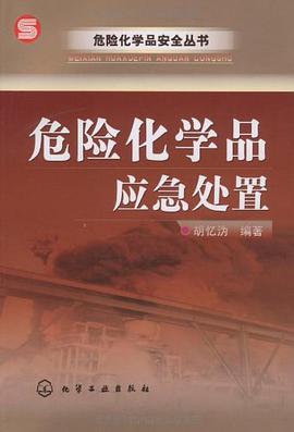 危险化学品安全丛书危险化学品应急处置 pdf epub mobi 电子书 下载