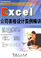 Excel公司表格设计实例精讲 pdf epub mobi 电子书 下载