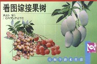 看图嫁接果树