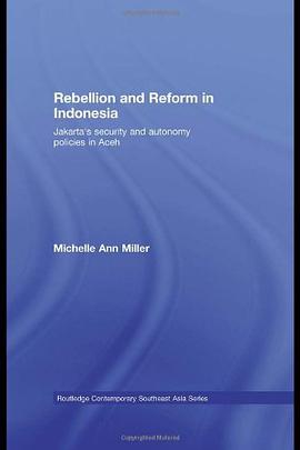 Rebellion and Reform in Indonesia pdf epub mobi 电子书 下载