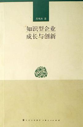 知识型企业成长与创新 pdf epub mobi 电子书 下载