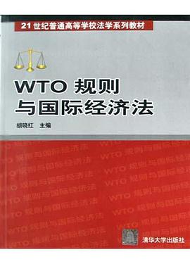 WTO规则与国际经济法