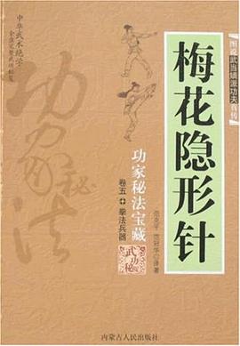 梅花隐形针 pdf epub mobi 电子书 下载