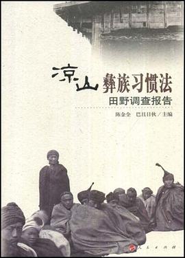 凉山彝族习惯法田野调查报告 pdf epub mobi 电子书 下载