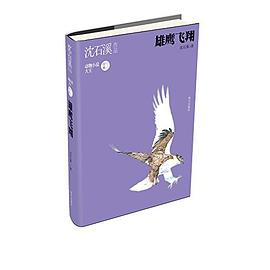 沈石溪作品——雄鹰飞翔