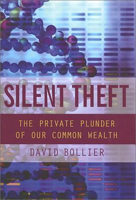 Silent Theft pdf epub mobi 电子书 下载