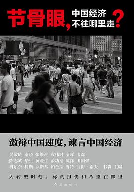 節骨眼，中國經濟不往哪裏走？ pdf epub mobi 電子書 下載