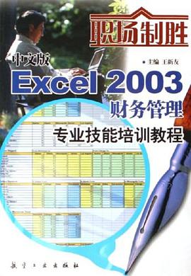 中文版Excel2003财务管理专业技能培训教程 pdf epub mobi 电子书 下载