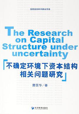 不确定环境下资本结构相关问题研究 pdf epub mobi 电子书 下载