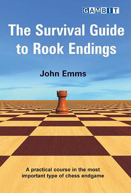 The Survival Guide to Rook Endings pdf epub mobi 电子书 下载