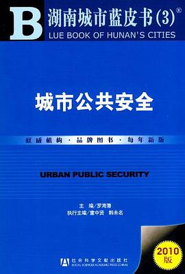 城市公共安全 pdf epub mobi 下载