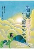 看見生命的光 pdf epub mobi 電子書 下載