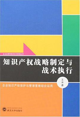 知識産權戰略製定與戰術執行 pdf epub mobi 電子書 下載