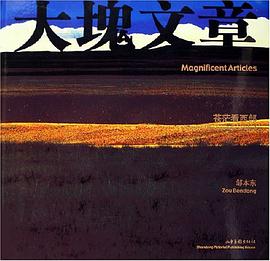 大块文章-苍茫看西部 pdf epub mobi 电子书 下载